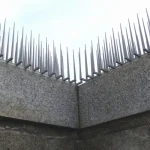 51001815